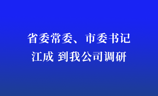 省委常委、市委书记江成到我公司调研